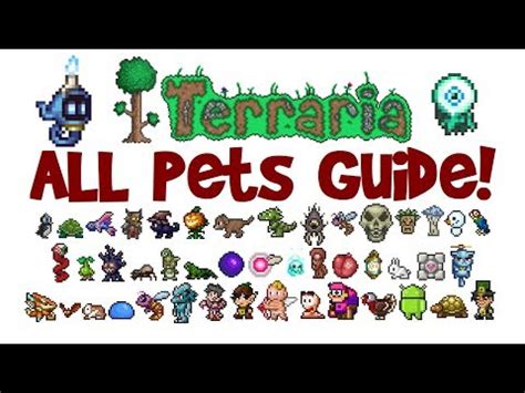 Steam Community :: Video :: Terraria ALL Pets & Light Pets .